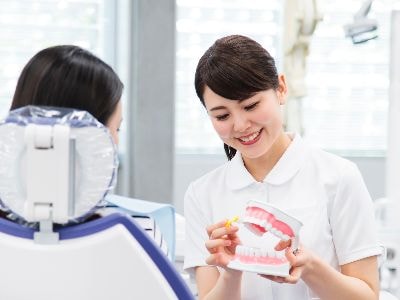 枚方市歯科/予防歯科